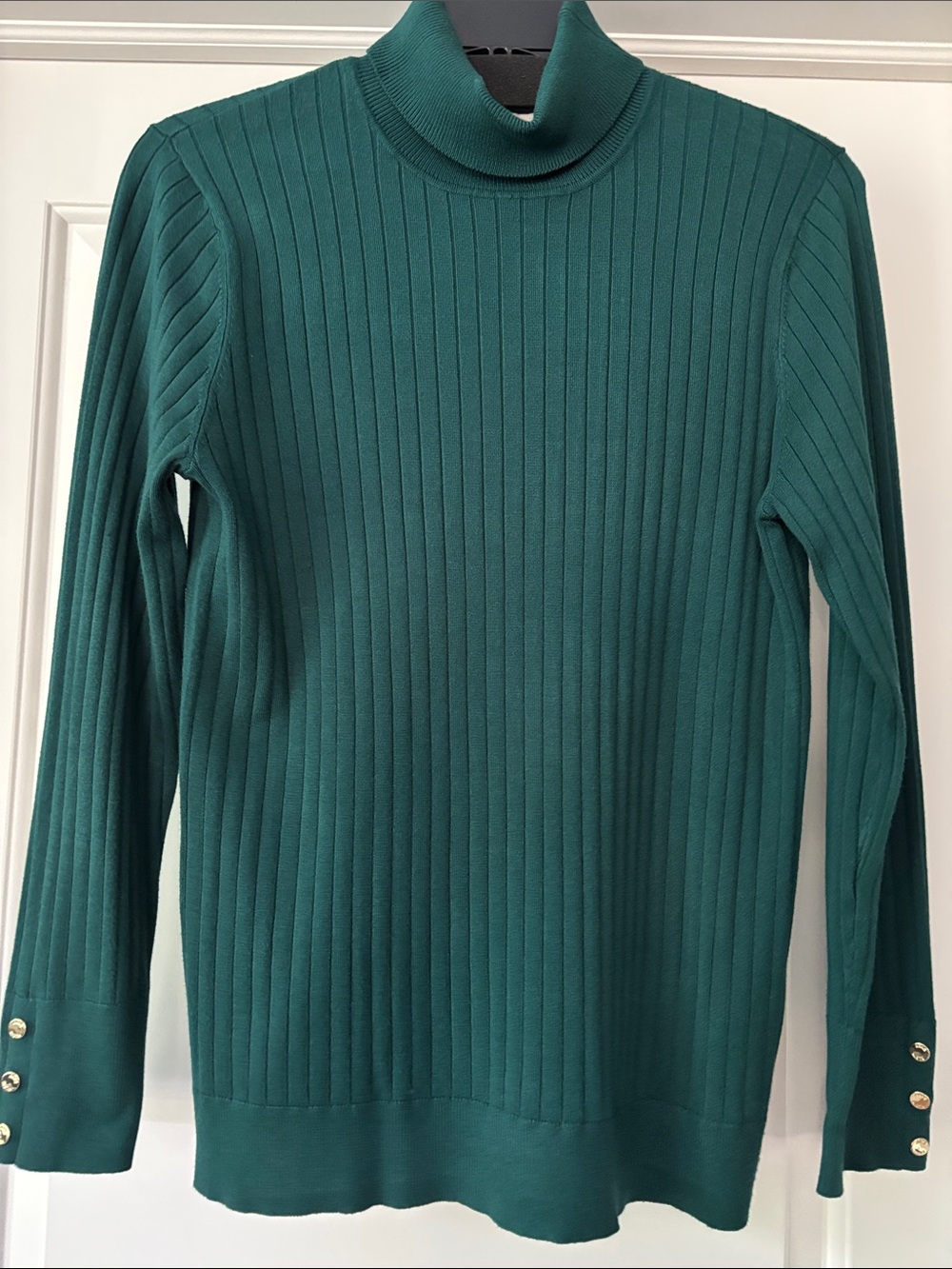 New w/o Tags - Anne Klein Hunter Green Ribbed Turtleneck Sweater - L